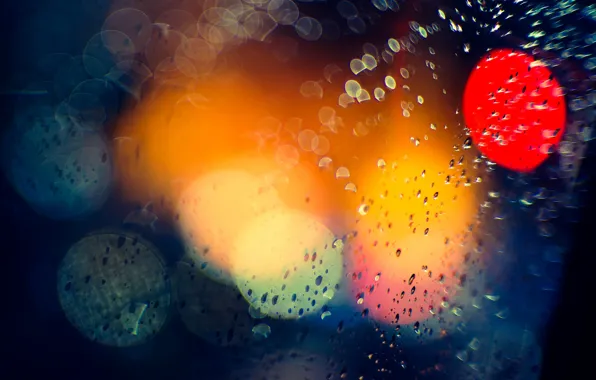 Macro, light, night, the city, glare, rain, bokeh