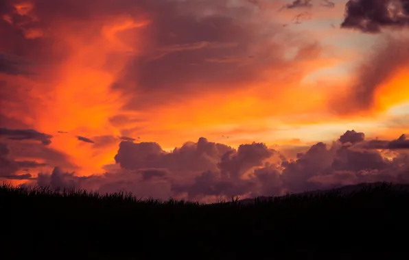The sky, landscape, sunset, sunset, Maui