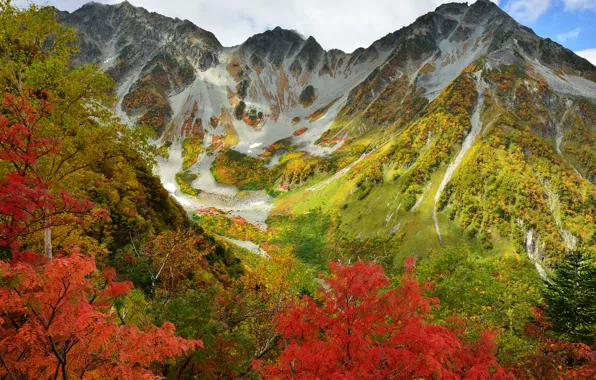 Picture autumn, the sky, clouds, trees, mountains, the crimson