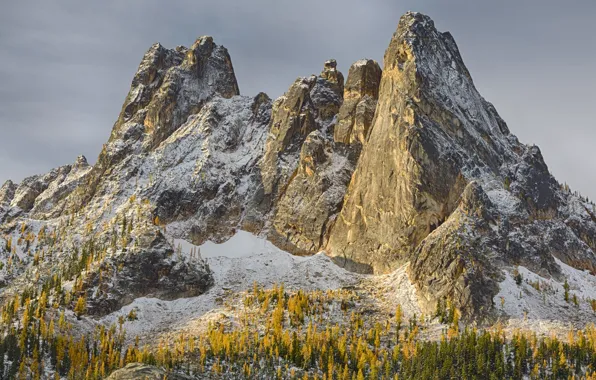 Picture winter, the sky, snow, trees, mountains, nature, rocks, USA