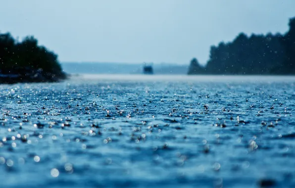 Picture forest, the sky, clouds, trees, landscape, nature, lake, rain