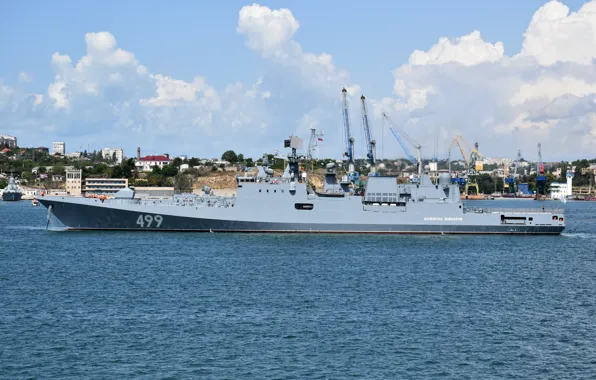 Frigate, Sevastopol, the project 11356, Admiral Makarov, author Erne