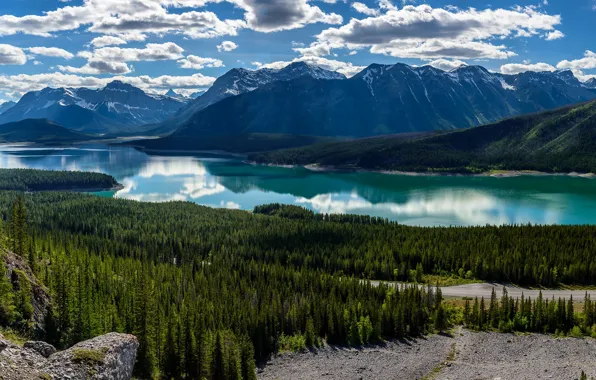 Forest, mountains, lake, Canada, panorama, Albert, Alberta, Canada