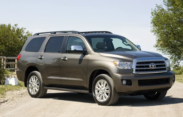 SUV, toyota, platinum, sequoia