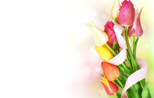 Drops, bouquet, tape, tulips, flowers, beautiful, bokeh, spring