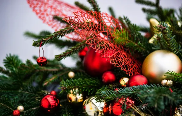 Picture winter, balls, branches, red, holiday, balls, new year, Christmas