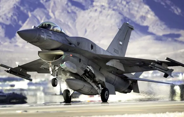 Flight, Aviation, Falcon