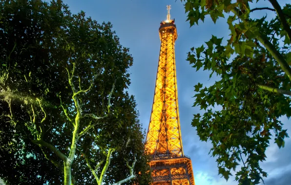 Picture Paris, France, tree, Eiffel Tower