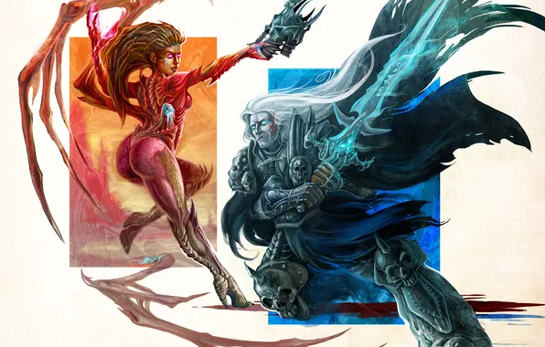 WoW, World of Warcraft, Lich King, Blizzard, warcraft, arthas, Sarah Kerrigan, StarCraft