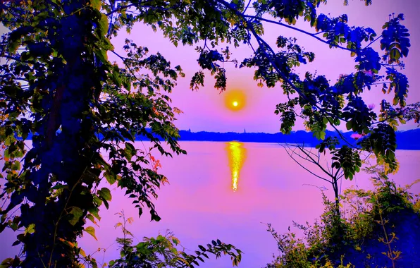 Sun, Water, Sunrise, Dawn, Morning, Lake, Trees, Reflection