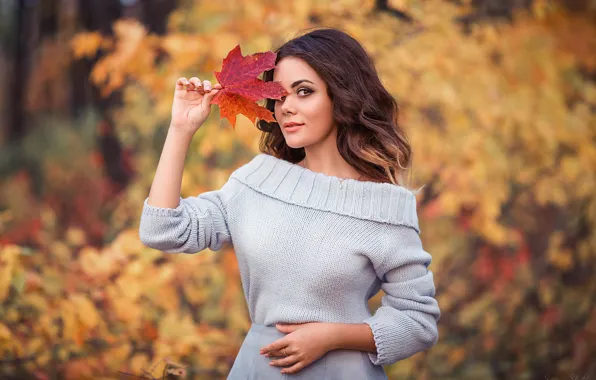 Picture autumn, girl, nature, pose, sheet, beautiful, sweater, Xenia