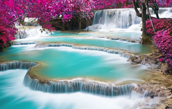 Trees, branches, nature, rocks, shore, foliage, waterfall, stream