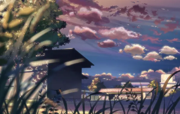 Summer, the sky, clouds, landscape, tree, yard, 5 centimeters per second, Makoto Xingkai