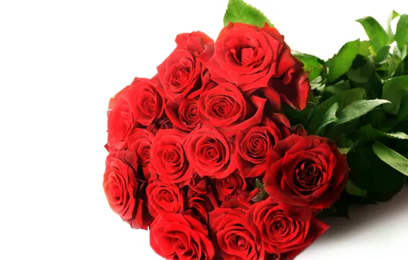 Flowers, red, photo, roses, bouquet
