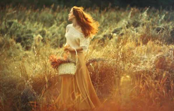 GRASS, FIELD, BASKET, REDHEAD, by akModel