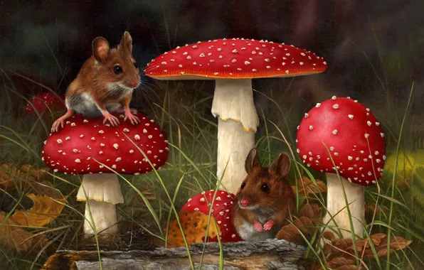 Picture forest, grass, mushroom, mushroom, mouse, art, CARL ANDREW WHITFIELD