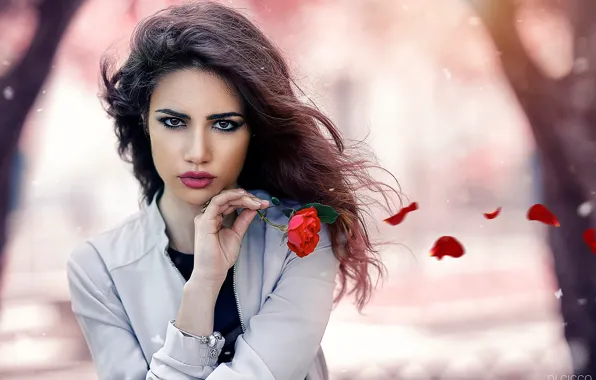 Look, girl, flowers, red, the wind, portrait, roses, makeup