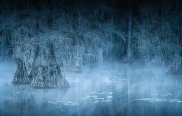 Grey, water, lake, morning, fog, mist, spooky, ghosts