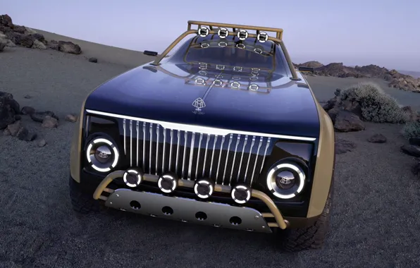 Sand, stones, Mercedes-Benz, the concept car, shrub, Project Maybach