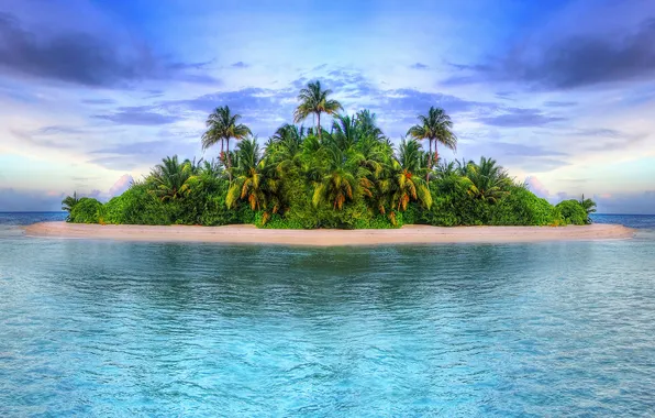 Sea, beach, clouds, tropics, blue, palm trees, the ocean, shore