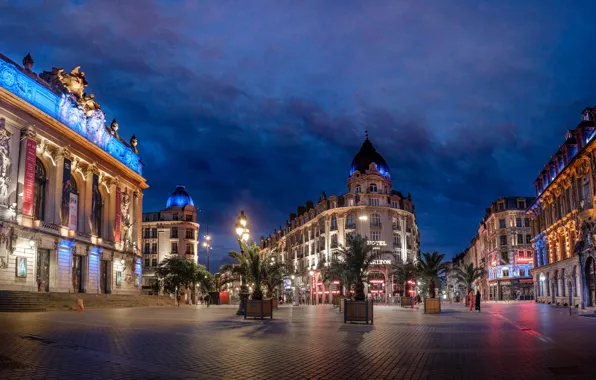 Palm trees, France, building, home, area, night city, France, Theatre square