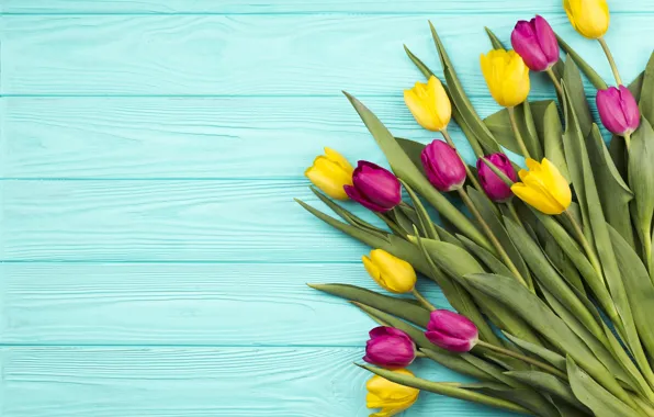 Picture bouguet, tulips, Ana Lukenda, wood, colorful, blue