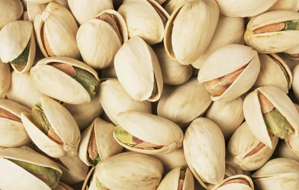 Picture macro, food, nuts, a lot, delicious, pistachios