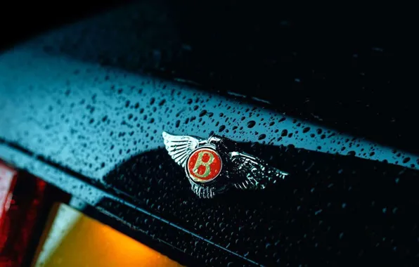 Drops, Bentley, logo, Bentley