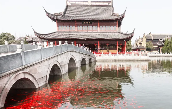 Picture fish, bridge, China, channel, temple, The hotel, Zhouzhuang, Eastern Venice