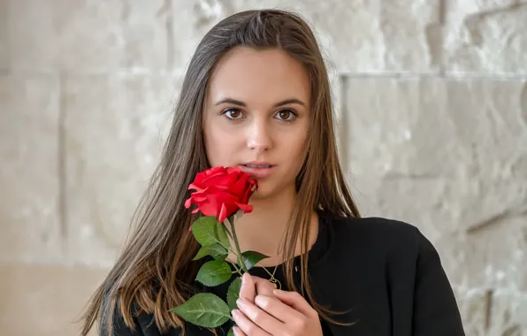 Picture look, girl, hair, rose