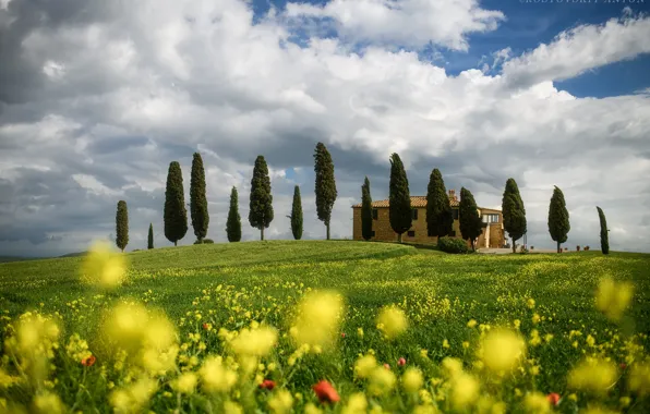 GRASS, FIELD, HOUSE, GREENS, FLOWERS, TREES, Photographer Anton Rostovsky, CYPRESSES