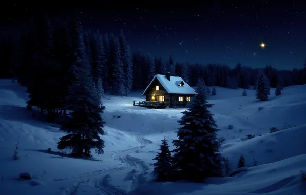 Winter, forest, the sky, stars, snow, night, darkness, hut