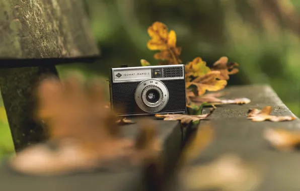 Picture background, camera, bench
