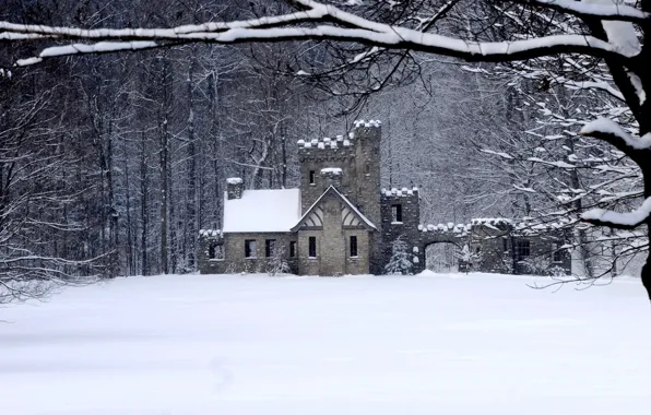 Winter, forest, house