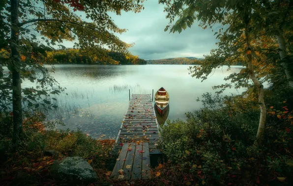 Picture autumn, trees, lake, boat, Canada, Ontario, Canada, Ontario
