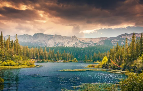 Picture forest, clouds, trees, landscape, mountains, nature, Lake