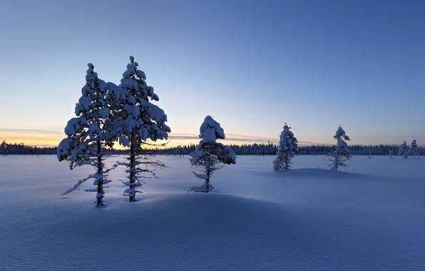 Winter, snow, morning, Finland, Lapland