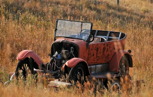 Machine, grass, retro, engine, the skeleton, dry