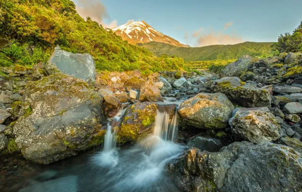 River, stream, stones