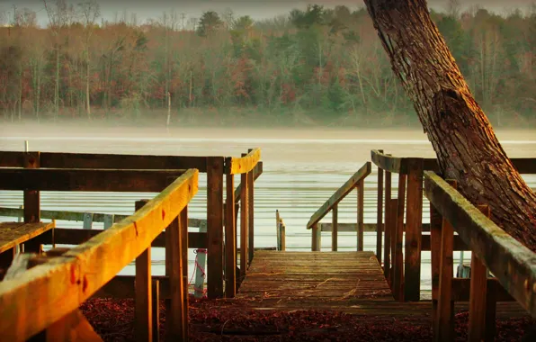 Forest, lake, pier