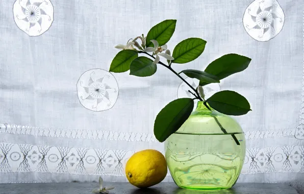 Flowers, branches, lemon, curtains, vase