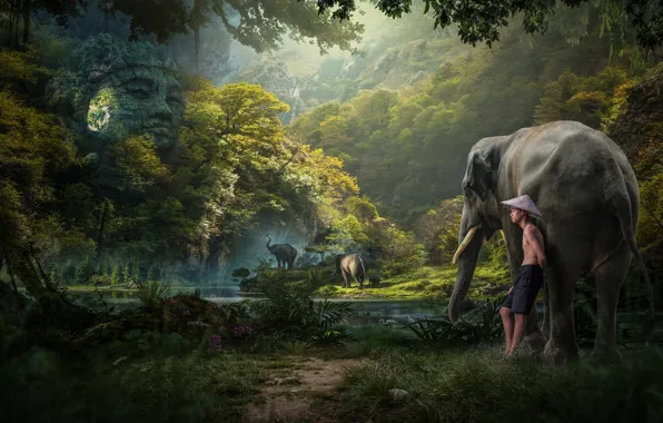 Picture forest, boy, jungle, elephants