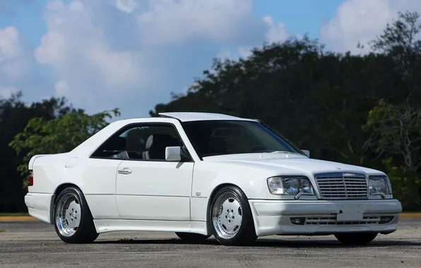 Picture AMG, Mercedes - Benz, C124, E320, WIDE-BODY