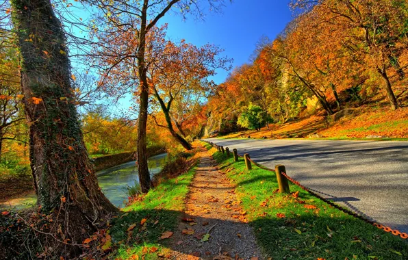 Road, autumn, forest, the sky, leaves, water, trees, mountains