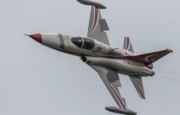 Flight, fighter, multipurpose, easy, Northrop F-5