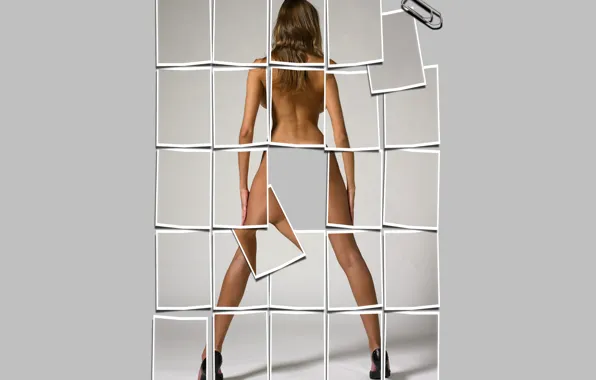 Back, legs, mosaic, clip