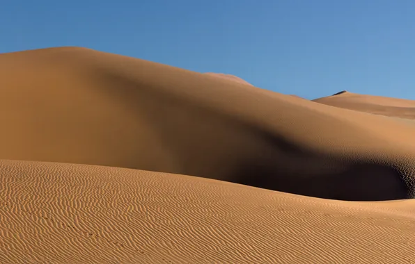Sand, landscape, desert, dunes, Africa, Namibia