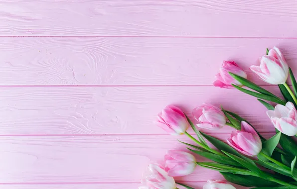Picture flowers, pink, Tulips, wooden background