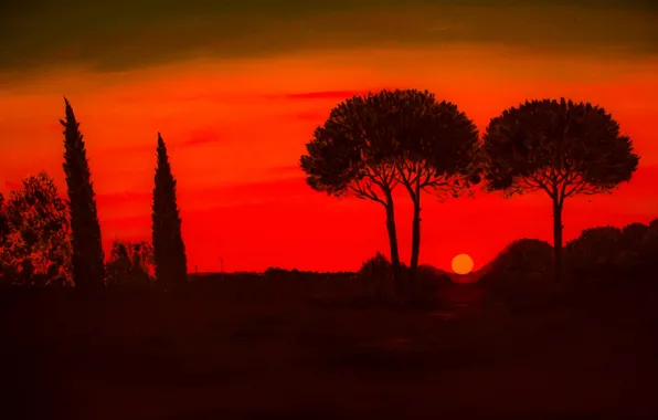 The sun, trees, sunset, silhouette, glow