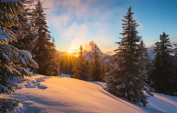 Winter, the sun, rays, light, snow, mountains, Alps